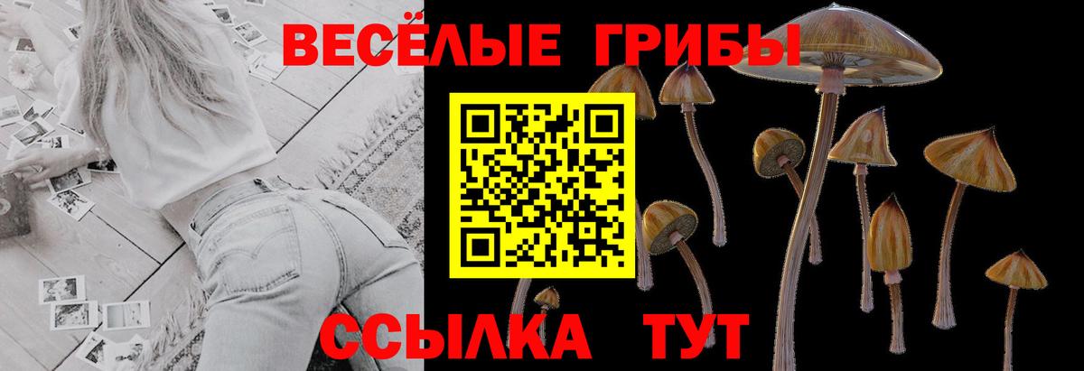Галлюциногенные грибы Cubensis Чебоксары